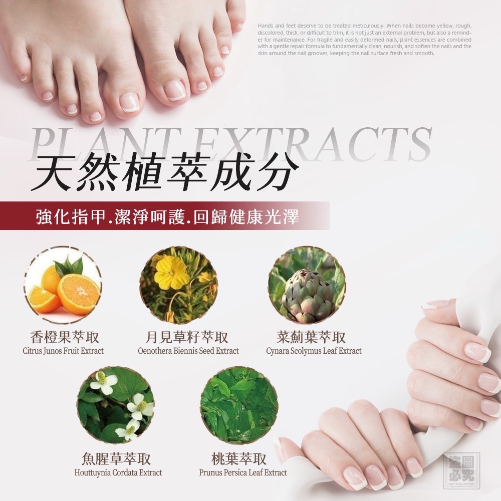 KS019-MIT 生醫廠 灰指甲滋養膏-細節圖2