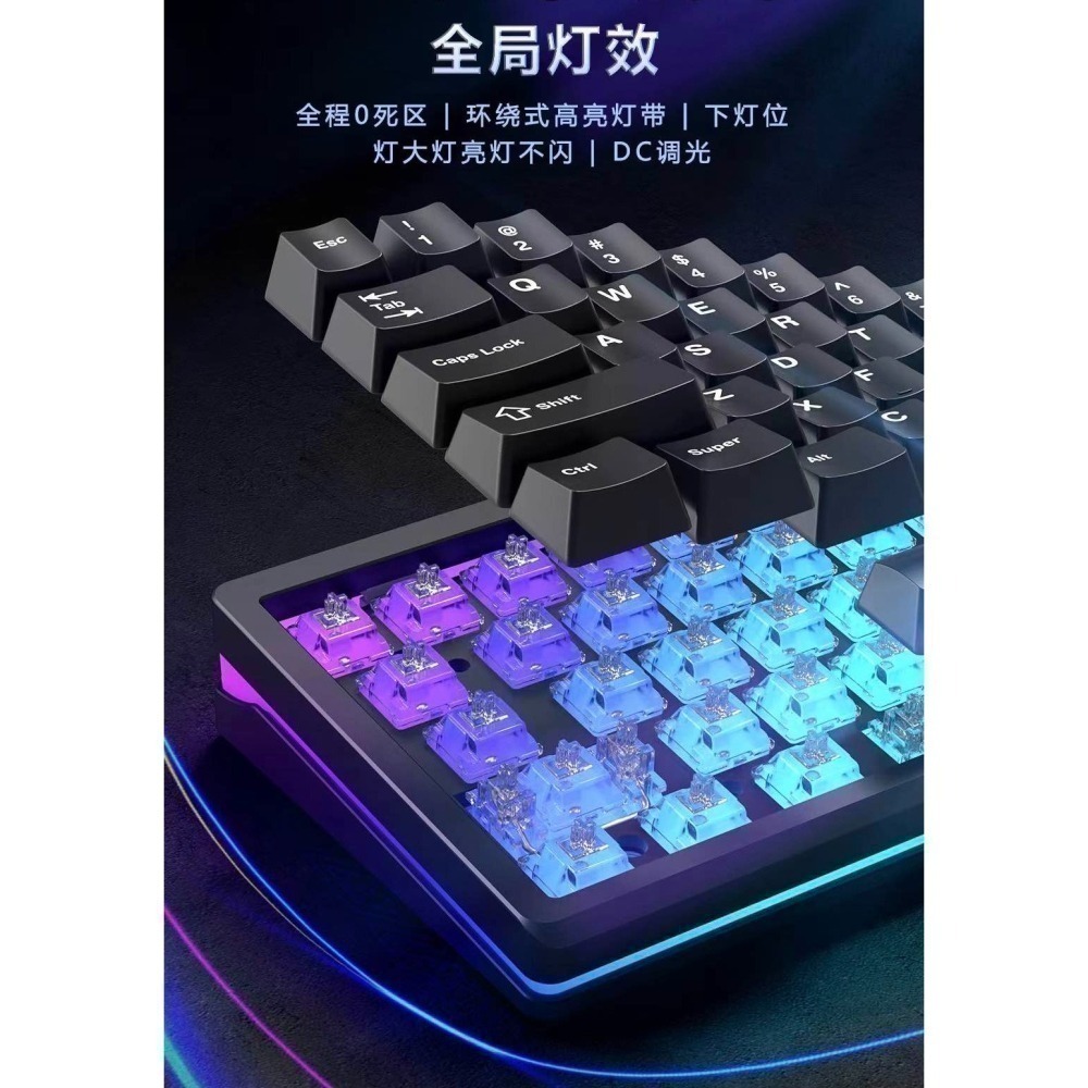 江灣 Su68-細節圖4