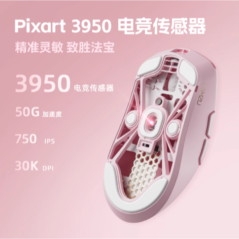 Lamzu Maya Champion-細節圖4