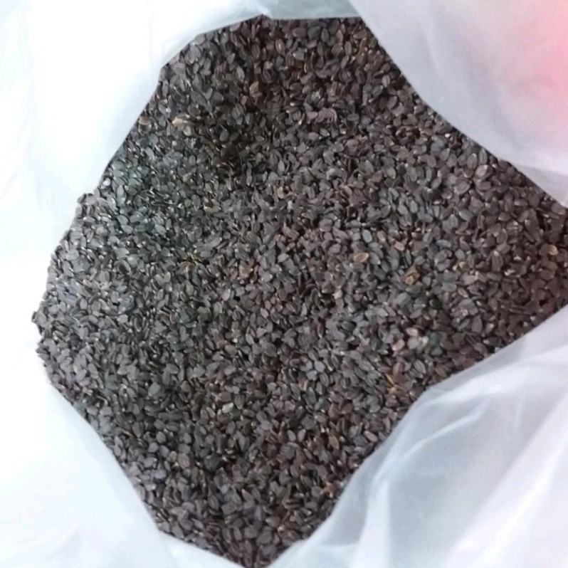 【附發票】山粉圓600g青蛙下蛋 養生食品 養身食品-細節圖2