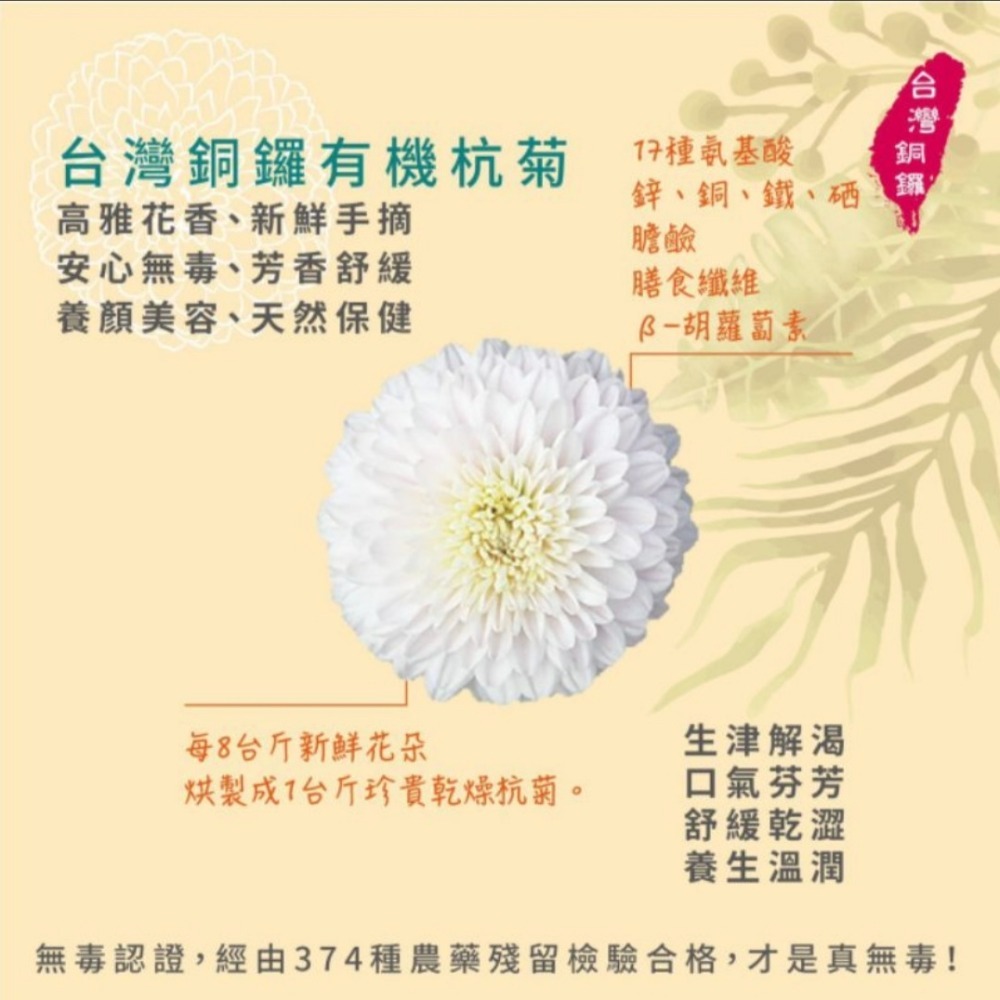 【附發票】產地台灣 桂花雙菊茶包每包3g最低購買量10小包[白菊黃菊紅棗桂花]防疫在家茶包 明目養生茶包  三角立體茶包-細節圖4