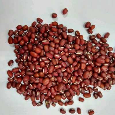 【附發票】紅豆台灣本產 600g 萬丹紅豆 大顆 養身食品 養生食品