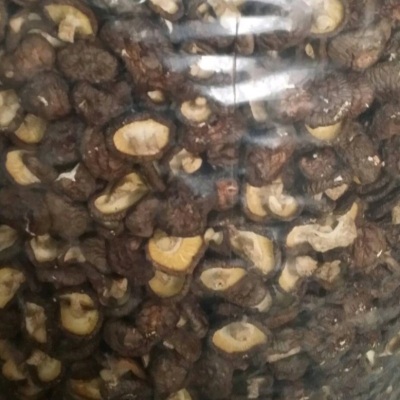 【附發票】台灣新社 黑皮冬菇 香菇小朵 鈕扣菇 裸裝 600g 養身食品 養生食品