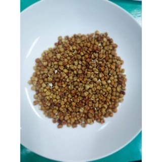 【附發票】紅薏仁600g 大顆紅薏仁1800g 漂亮的紅薏仁3000g 養生食品 養身食品 調味食品-細節圖2