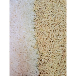 【附發票】長鮮米3000g 長秈糙米3000g 養生食品-細節圖3