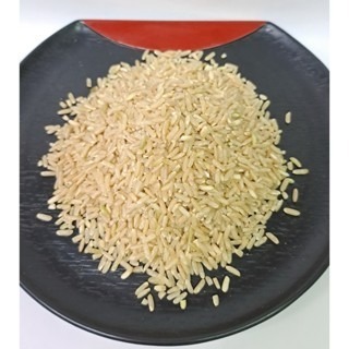 【附發票】長鮮米3000g 長秈糙米3000g 養生食品-細節圖4