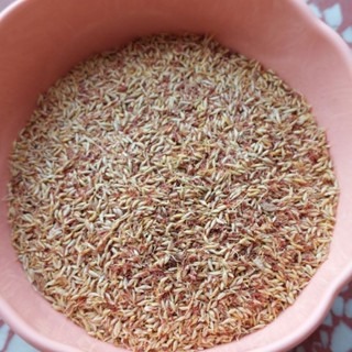 （金協和）愛玉籽100g 200g 300g  阿里山天然愛玉籽/愛玉子-細節圖3
