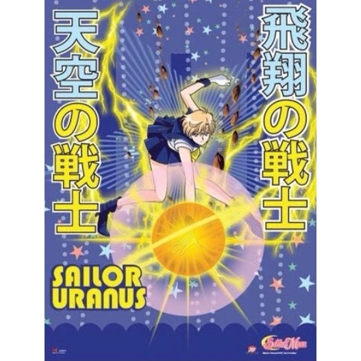 ✨美少女戰士 小兔/天王遙 直式掛布-規格圖2