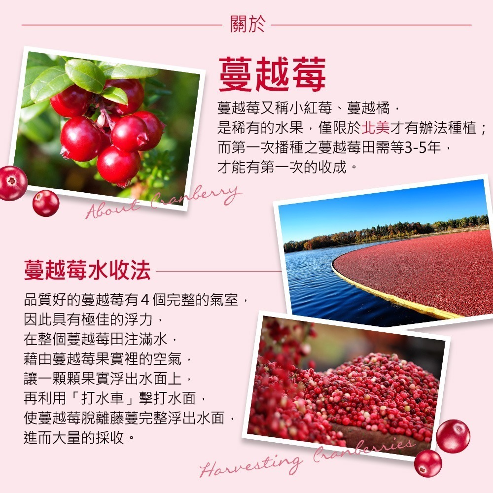 【紅布朗】蔓越莓乾顆粒 (200g/袋)-細節圖3