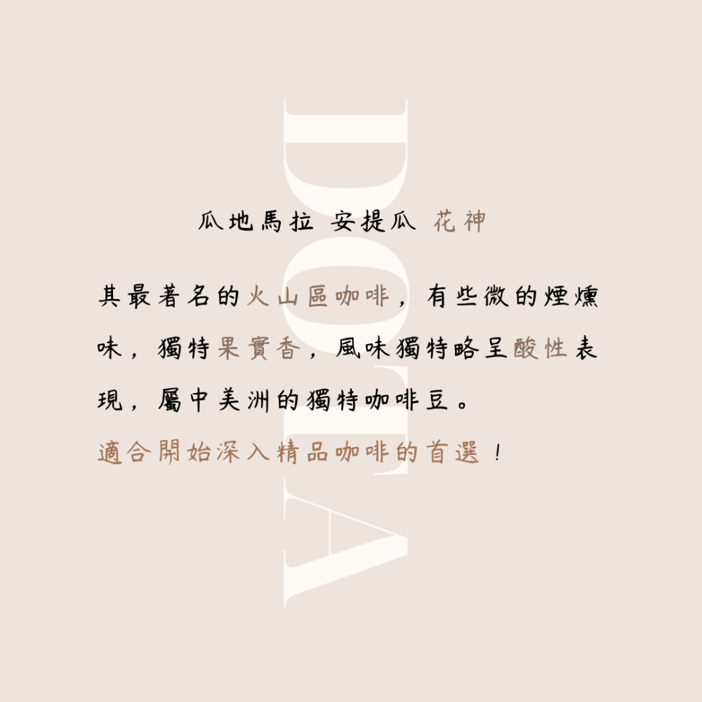 Dota-coffee | 濾掛式咖啡、耳掛式咖啡，瓜地馬拉 安提瓜 花神 水洗-細節圖5