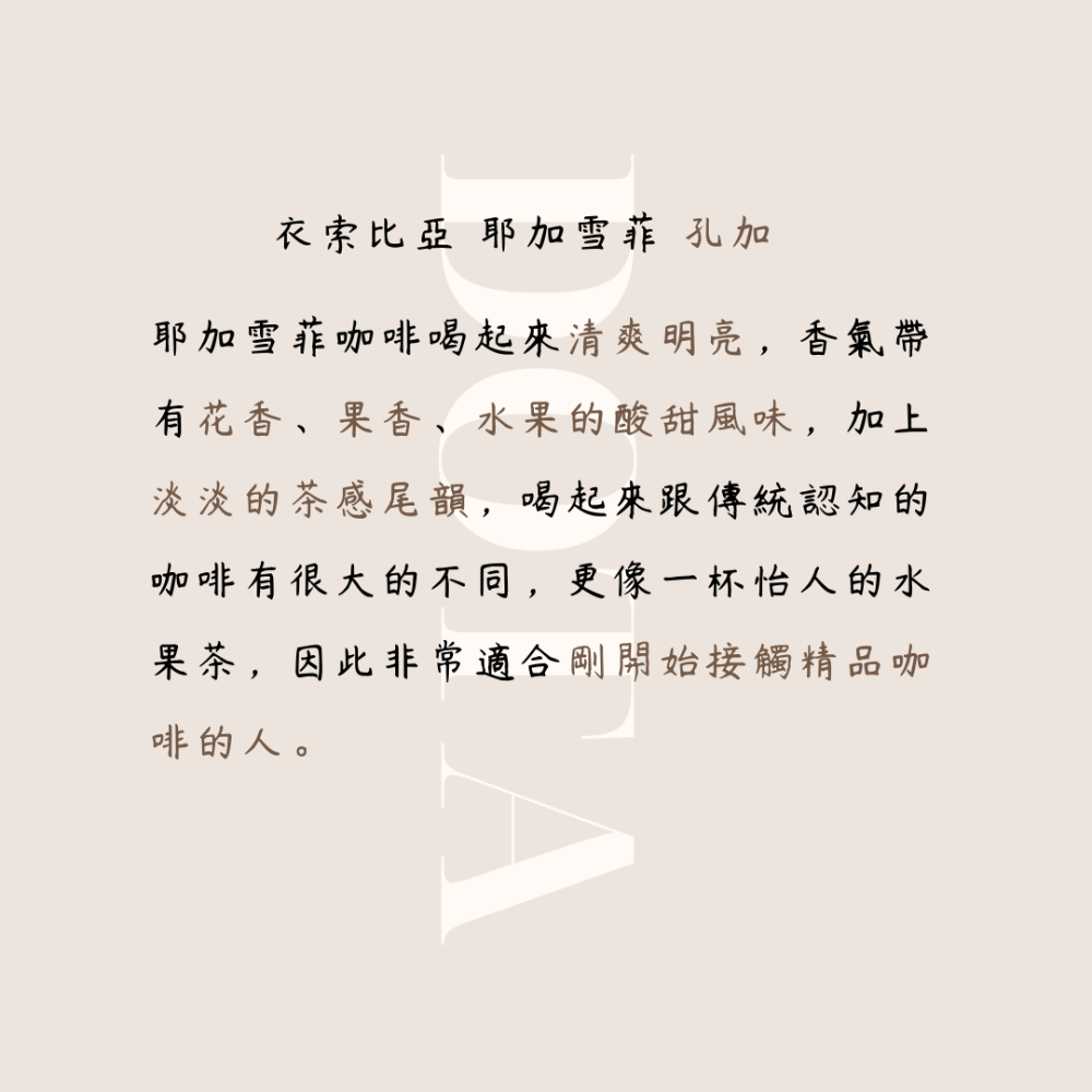 Dota-coffee | 濾掛式咖啡、耳掛式咖啡，衣索比亞 耶加雪菲 孔加 日曬-細節圖5