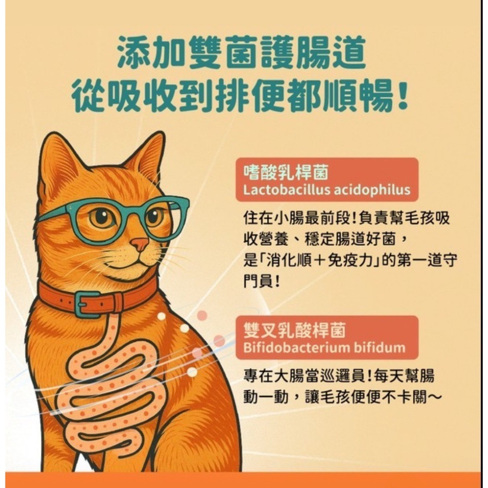 博士巧思 貓凍乾+主食 100g包/1盒8包-細節圖3