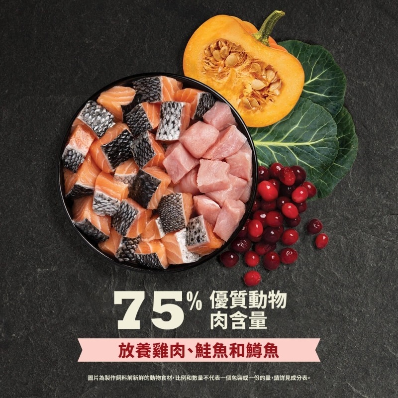 加拿大ACANA愛肯拿-高蛋白室內貓 無穀配方｜雞肉‧鮭魚‧ 鱒魚(管理體態) 1.8KG-細節圖3