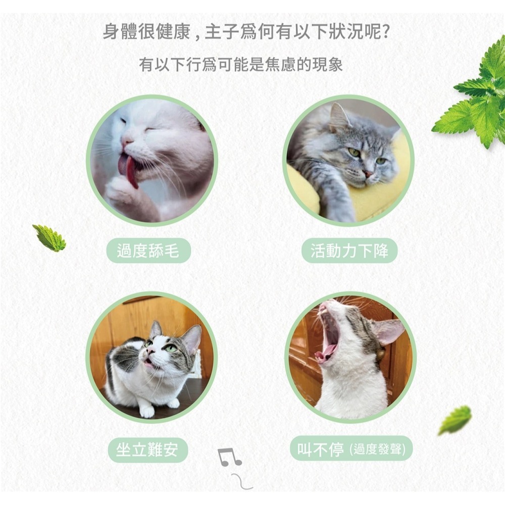 PANTO邦比-強效薄荷貓草-細節圖3