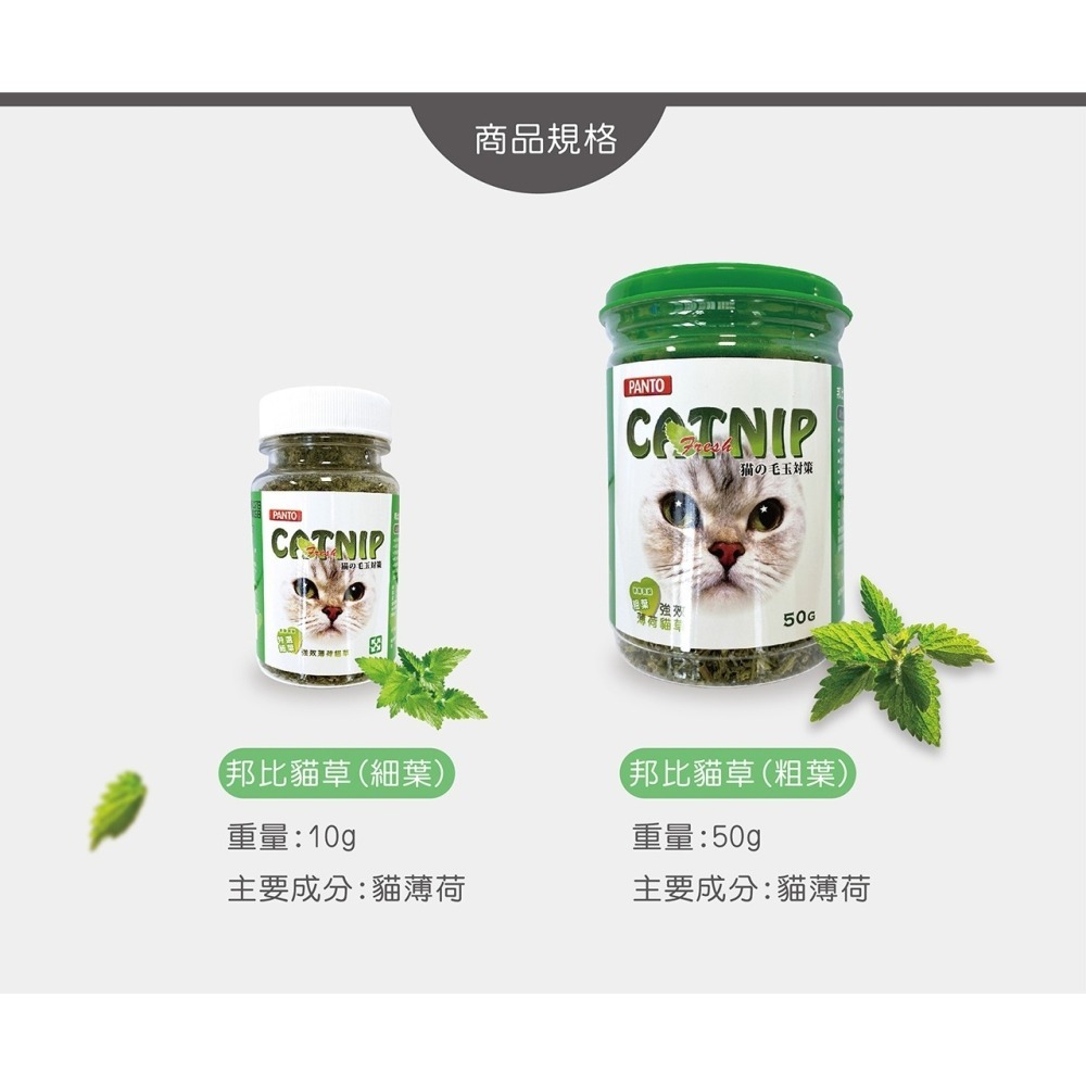 PANTO邦比-強效薄荷貓草-細節圖4