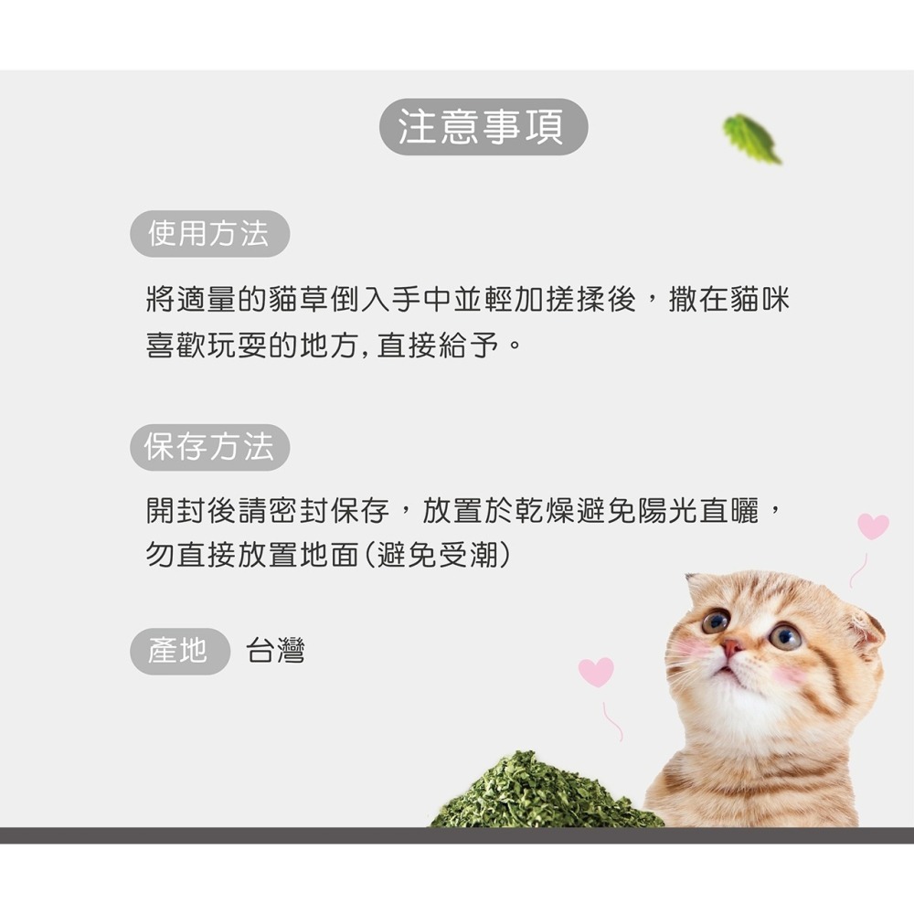 PANTO邦比-強效薄荷貓草-細節圖5