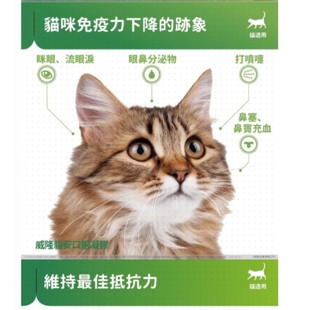 獸醫師推薦【Vetoquinol威隆】貓安口服凝膠/100ml-細節圖3