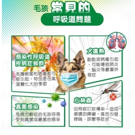 Mao One 毛萬系列保養品-細節圖7