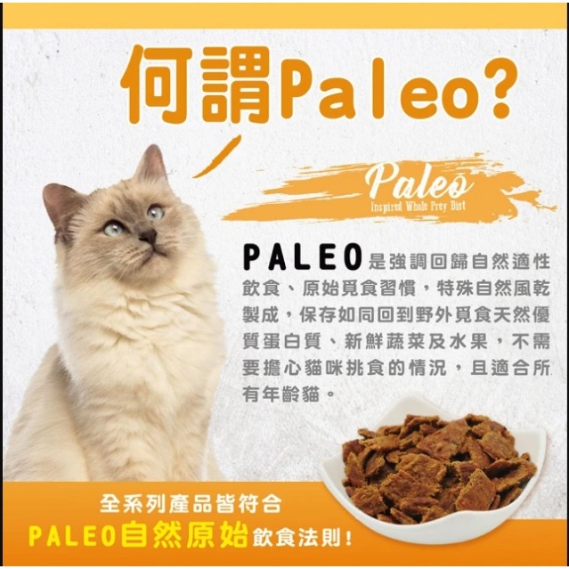 ABSOLUTE HOLISTIC 超越巔峰 貓用鮮肉主食肉片500g(貓飼料/貓主食/寵物零食/貓零食/生食肉片)-細節圖2