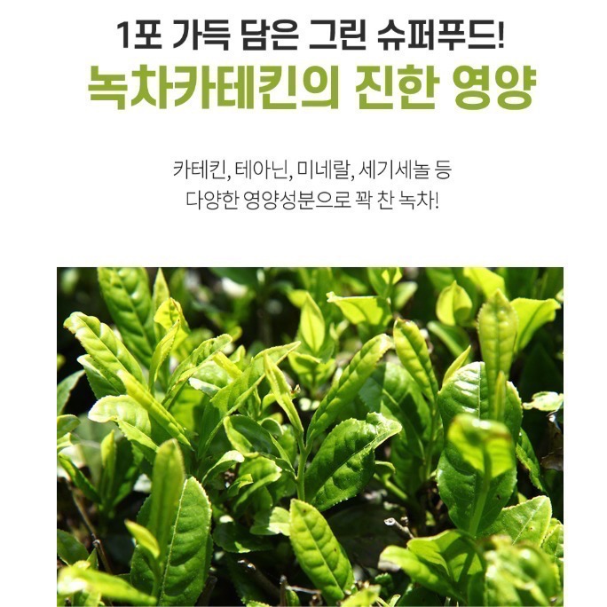 現貨》韓國HEALING極效超燃超濃縮綠茶兒茶飲50入-細節圖6