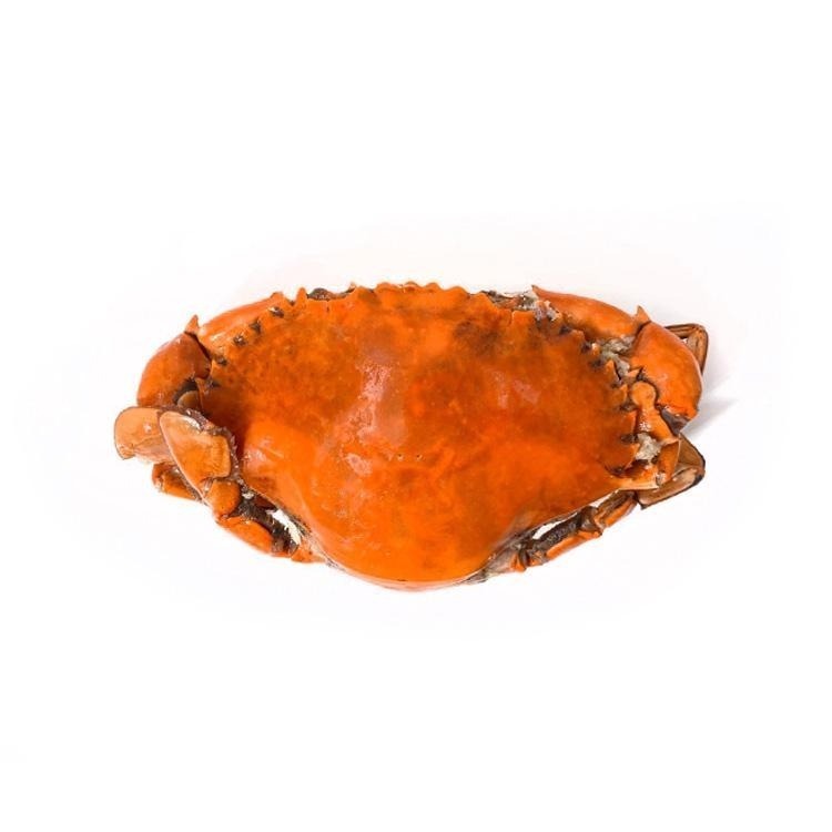 緬甸-熟凍紅蟳蟹(125~150g規格/隻)-1E7B【魚大俠】SP130-細節圖2