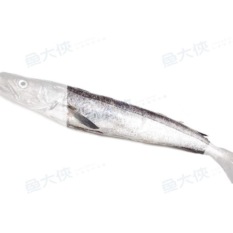 哈克魚/無鬚魚(2尾/300g/包)-1C6B【魚大俠】FH340-細節圖4