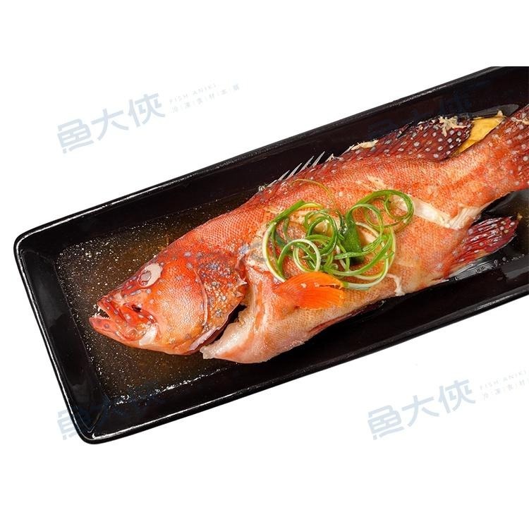 三去-紅條/燕條石斑魚(200~300g/尾)-1E6B【魚大俠】FH318-細節圖2