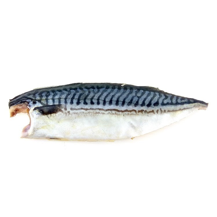 信揚-整件鯖大-薄鹽挪威鯖魚片(200~240g規/10kg/件)#整件-1D1B【魚大俠】FH327-細節圖2