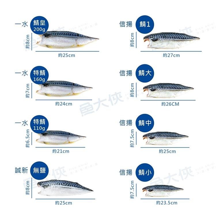 信揚-薄鹽挪威鯖魚片-鯖大(170~210g/片)-1D1B【魚大俠】FH156-細節圖3