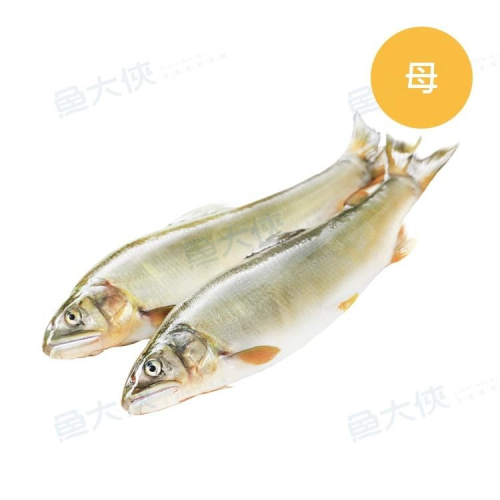 宜蘭-母香魚(7~8尾/盒)-1A4B【魚大俠】FH028