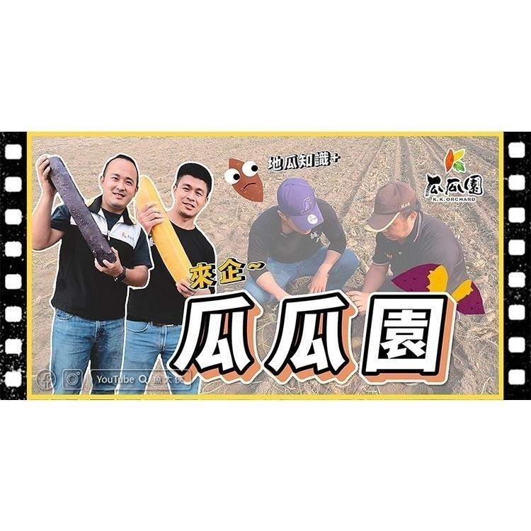 瓜瓜園-大包裝冰烤地瓜(60~70顆/3kg/袋)#全素#烤6070-1D2B【魚大俠】AR053-細節圖6
