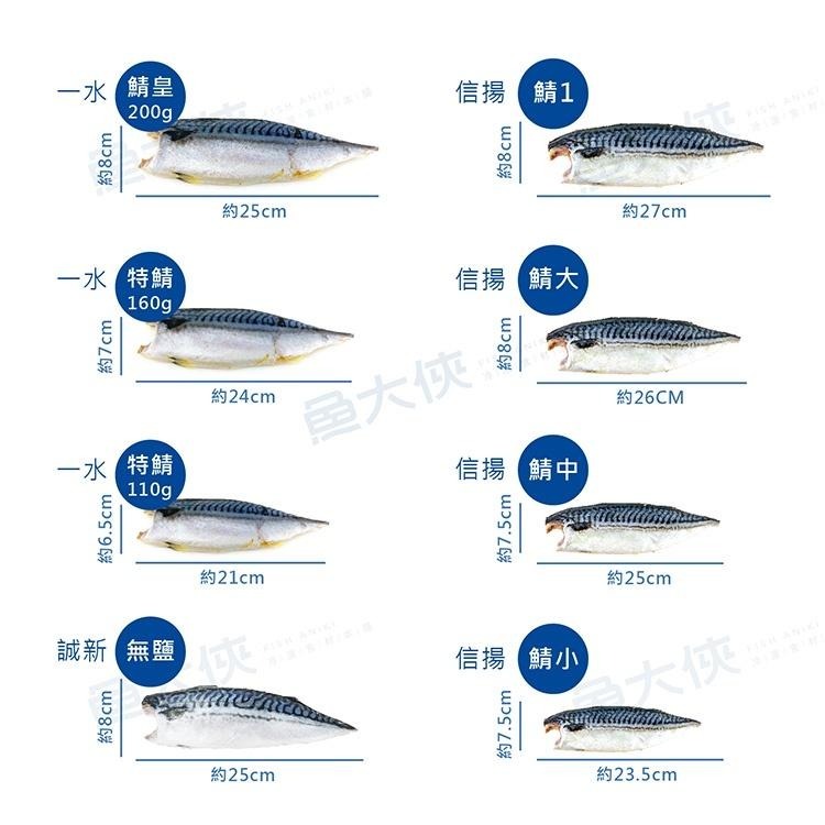 誠新-無鹽挪威鯖魚片(180g/片)#無鹽-1G3B【魚大俠】FH278-細節圖2