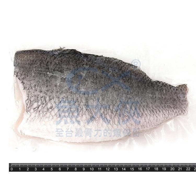 整件-台灣-帶皮鱸魚片(200~250g規/10kg/件)#去刺鱸魚清肉#整件-1C2B【魚大俠】FH323-細節圖2