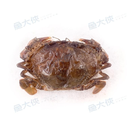 鮮凍軟殼蟹(8~10隻/600g±5%/盒)-1F6A【魚大俠】SP086