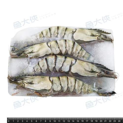 野生海草蝦(實重430g/4尾/盒)#430-1C4A【魚大俠】SP071