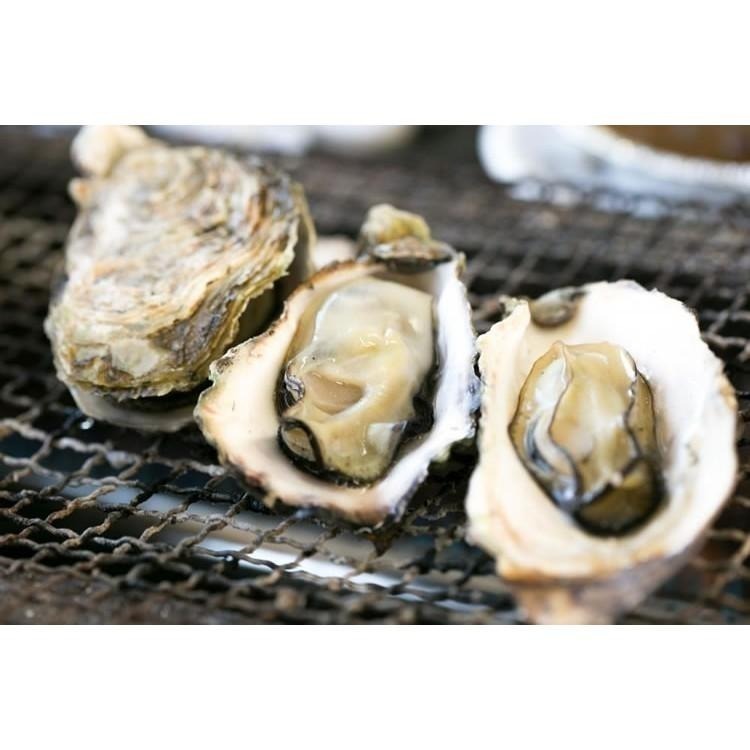 日本-全殼牡蠣(約7~11顆/1kg)-1H3A【魚大俠】BC020-細節圖3