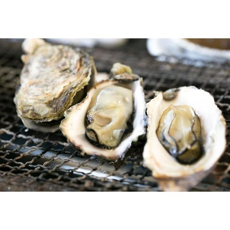 日本-全殼牡蠣(約8~12顆/1kg)-1H3A【魚大俠】BC020-細節圖3