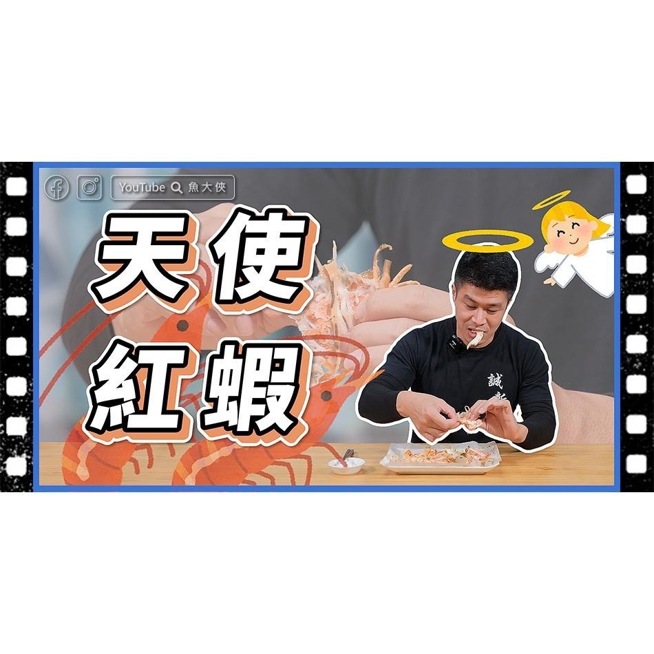 天使紅蝦L1規(10/20規/2kg/盒)#L1-1C3B【魚大俠】SP020-細節圖3