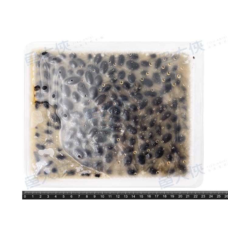 日式-佃煮黑豆/黃仁豆丹波黑豆(固900g/淨1kg/毛1.5kg/盒)#全素-1F3B【魚大俠】FF004-細節圖4