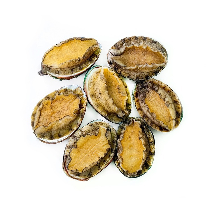 熟凍-帶殼盤鮑魚(20~24顆/淨550g/包)-1H4A【魚大俠】BC075-細節圖2