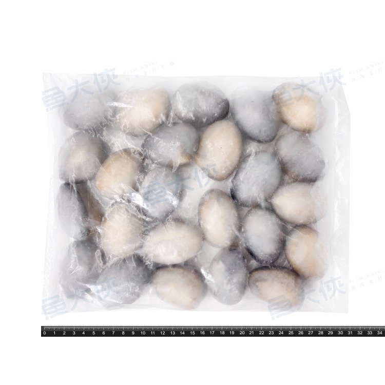 熟凍-帶殼盤鮑魚(20~24顆/淨550g/包)-1H4A【魚大俠】BC075-細節圖5