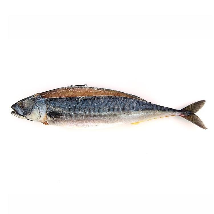 薄鹽漬挪威鯖魚(14尾/6kg/件)#MK14P-1D1A【魚大俠】FH149-細節圖2