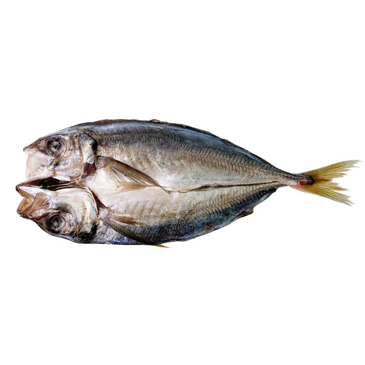 大規格-竹筴魚一夜干(300~350g/尾)-1D4B【魚大俠】FH254-細節圖2