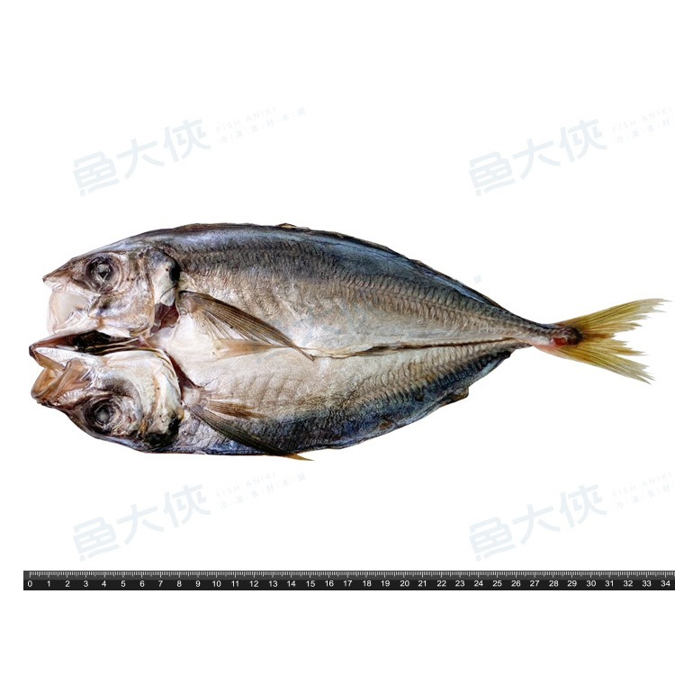 大規格-竹筴魚一夜干(300~350g/尾)-1D4B【魚大俠】FH254-細節圖3