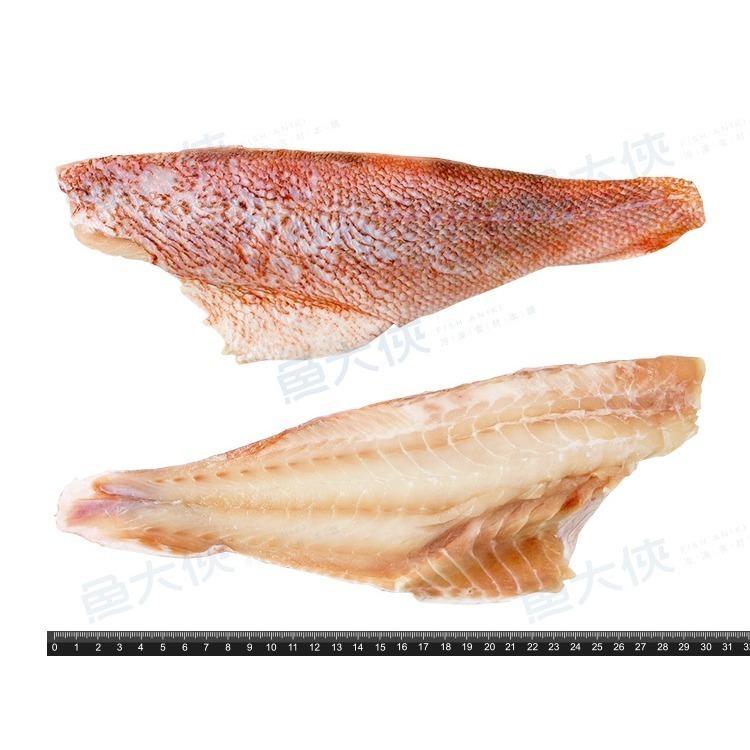 紅鮋魚片/石狗公紅魚片(200g~300g/片)-2F4B【魚大俠】FH380-細節圖3
