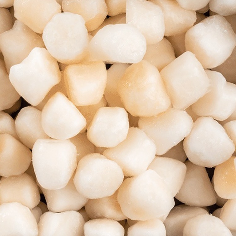 透明袋-海灣貝柱(實600g/毛1kg/包)-2E4B【魚大俠】BC071-細節圖2