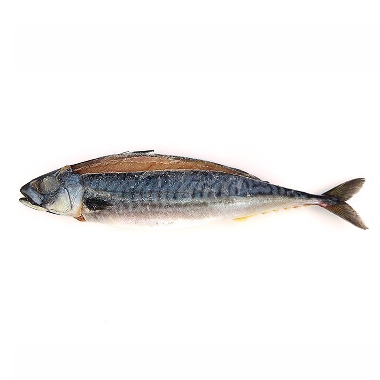 薄鹽漬挪威鯖魚(15~16尾/6kg/件)#MK1516P-1D1A【魚大俠】FH147-細節圖2