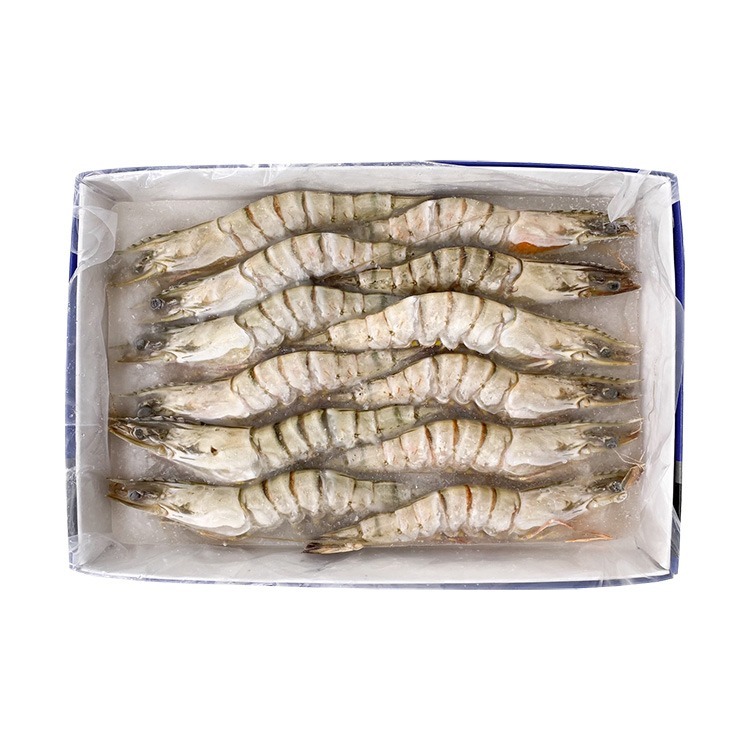 進口海草蝦 12P裝(12尾/實重約270g/盒)-1C4A【魚大俠】SP123-細節圖2