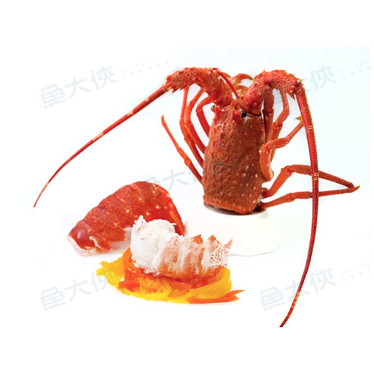 〖推推〗效期3.15法國-生凍龍蝦(200~250g/尾)-2D1B【魚大俠】SP150-細節圖3