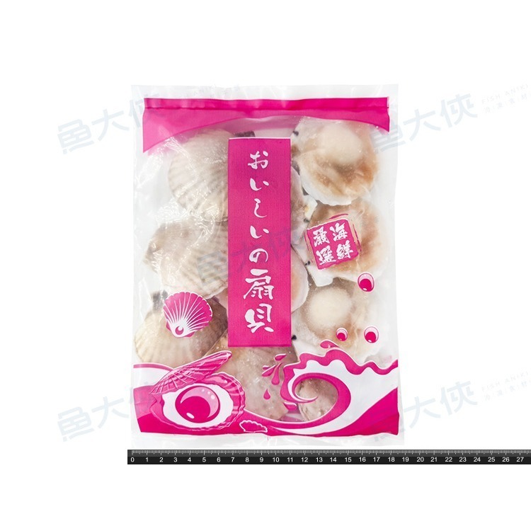 半殼扇貝(7-8cm規格/約10顆/500g/包) #7-8 #包裝易破損-1A6A【魚大俠】BC076-細節圖3